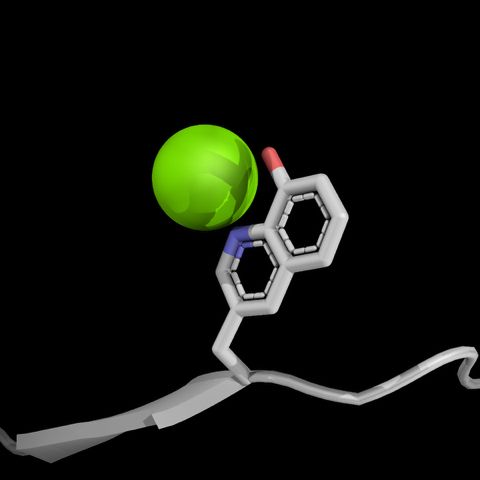 Non-canonical amino acid from PDB ID 8W3Z shown chelating to a magnesium ion. Image made with PyMol.
https://www.rcsb.org/structure/8W3Z
https://www.pymol.org