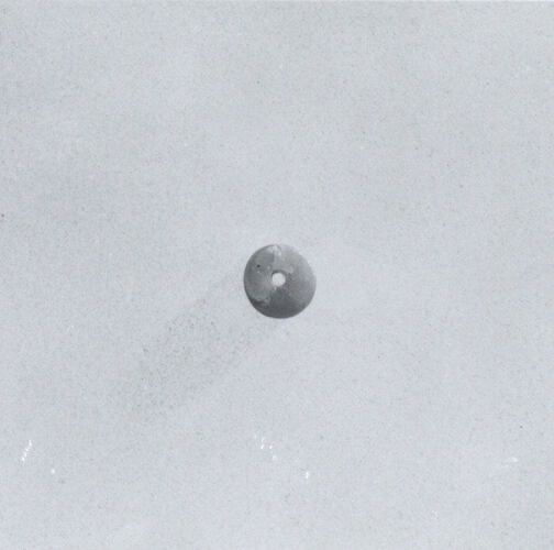 Purchase, H. Dunscombe Colt Gift, 1978