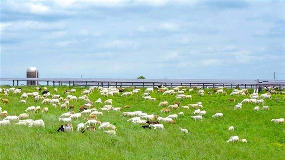 OpEd: At a time when federal support is faltering for clean energy, local leadership can fight for a sustainable future in Fayette County.