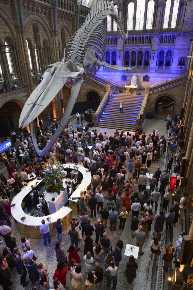 View from above of Natural History Museum's Hintze Hall, filled with guests as Ziyad Marar gives speech.