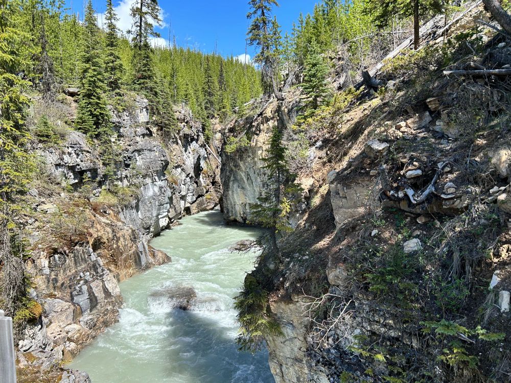 Greyish greenish waters from the river with high rock walls on either side of the river and pine trees on the top of the rocks. You can see a little blue sky.