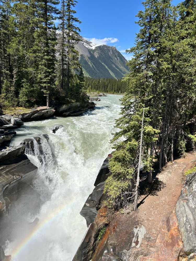 Water starting to go down the falls. Water is a grey-green whitish colour. There are red and brown sharp rocks on either side of falls. Pine trees on either side of the falls and a mountain seen in the background and the sky is brilliant blue.