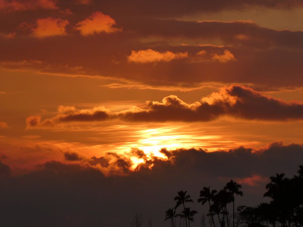 A close up of the sunset with many layers of clouds brightly lit from the setting sun. Palm trees in the foreground.