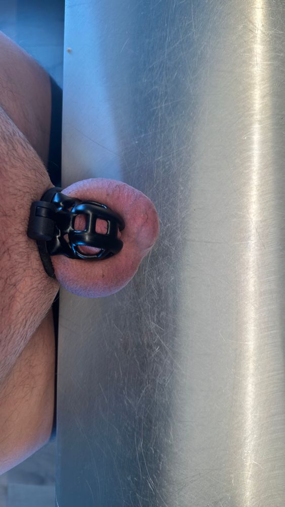 Caged cock and fat shaved balls resting on a steel work surface