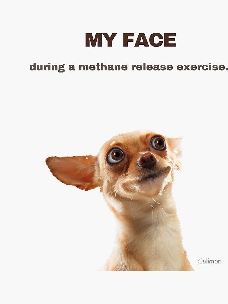 Comment image