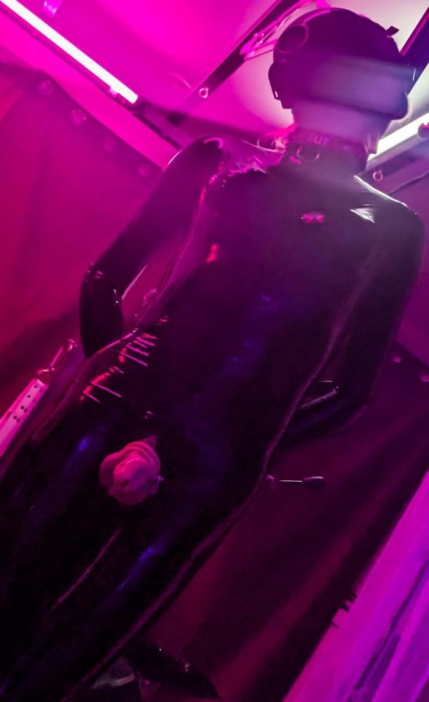 artistic photo of femboy in a black catsuit gasmask and chastity cage under pink lighting 