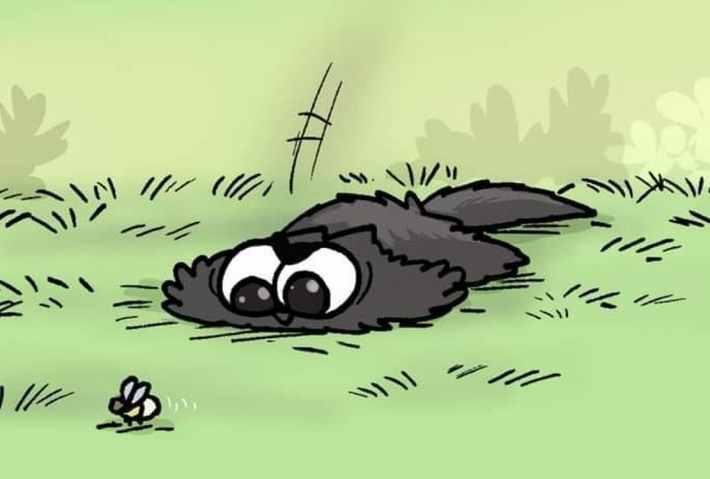 cartoon from simon’s cat showing small black cat in pounce mode