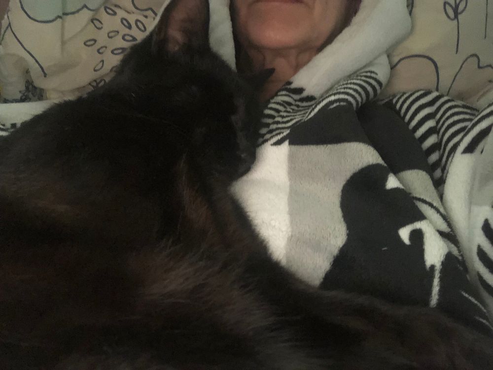 Tosh , my black cat, Sound asleep on me. He can just do this at anytime. 
