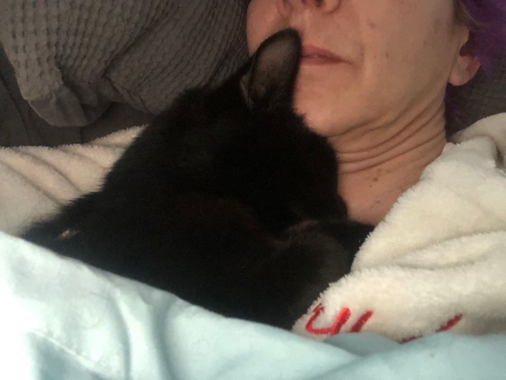 This is my black cat Tosh aka The Darkness. He is gorgeous! And so snuggly. I am technically ready to get out of bed, but he is not…..all snuggled up under my chin. I’m going nowhere right now