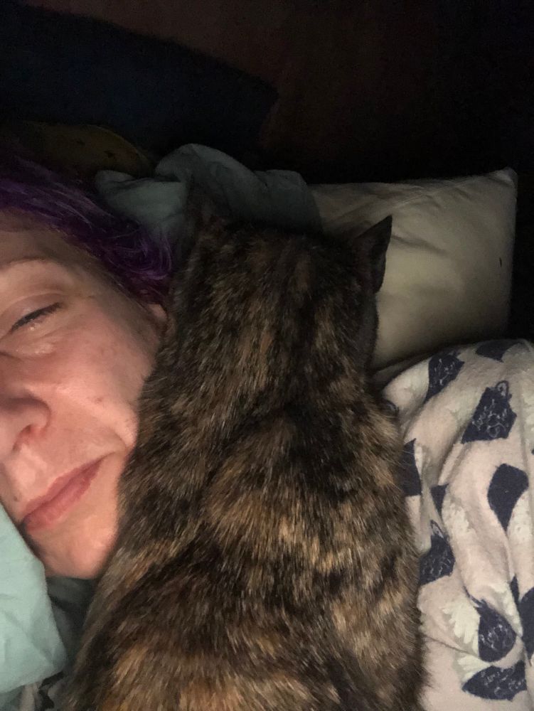 This is the old tortoiseshell kitty. Mikey was always her favourite human. I got one of Mikey’s cuddles this morning. Bonded by missing him