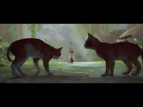 Lets Play Stray! Ep. 1: I am Cat Jesus!