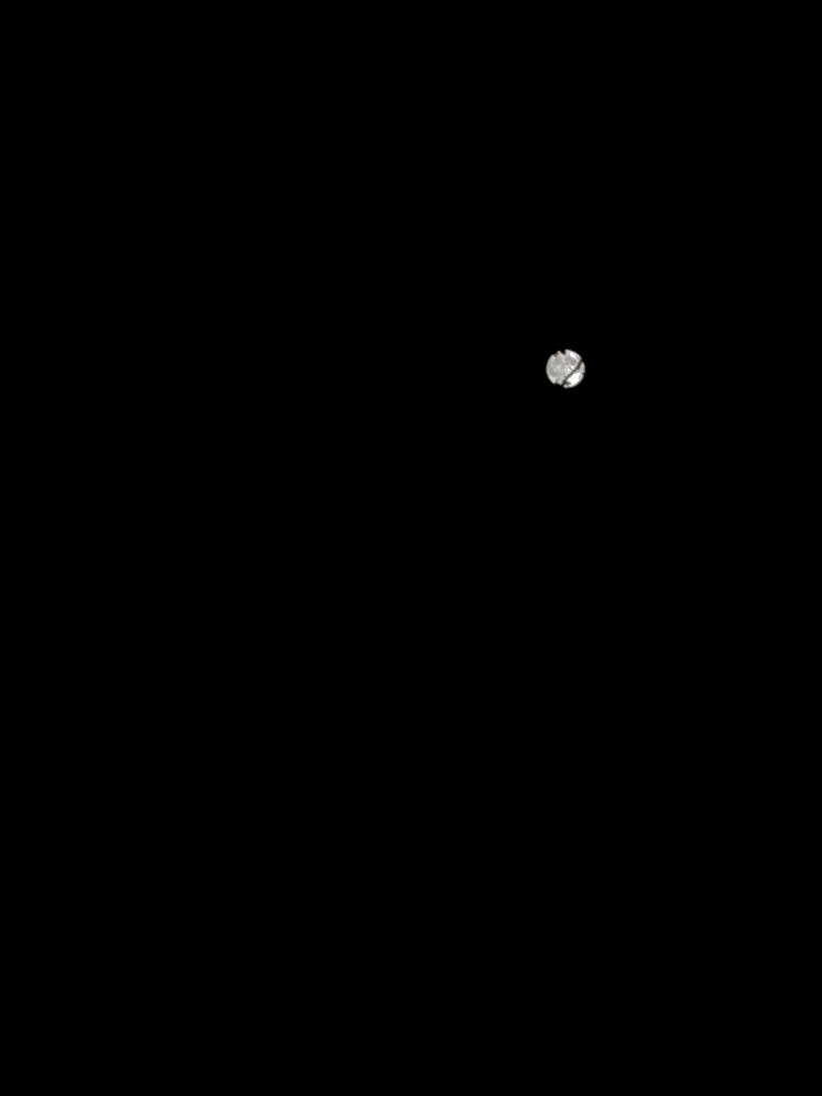 a picture of the full moon. the moon hangs in the upper right portion of the photo, her face is blurry but recognizable, a branch cuts thru the lower third while leaves cut into the top of the moon (branch and leaves in sharp focus). the background of the photo is pure black.