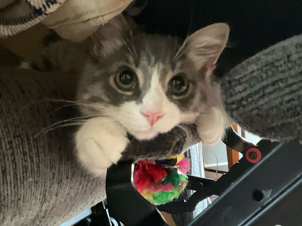 A photo of a kitten at my feet on my recliner. 