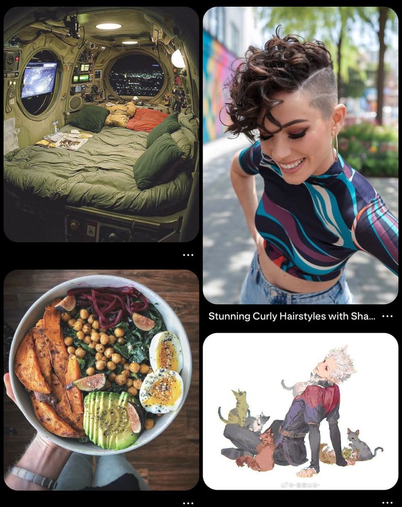 A cozy bed, a rockin hairstyle, a harvest bowl, astarion covered in cats 
