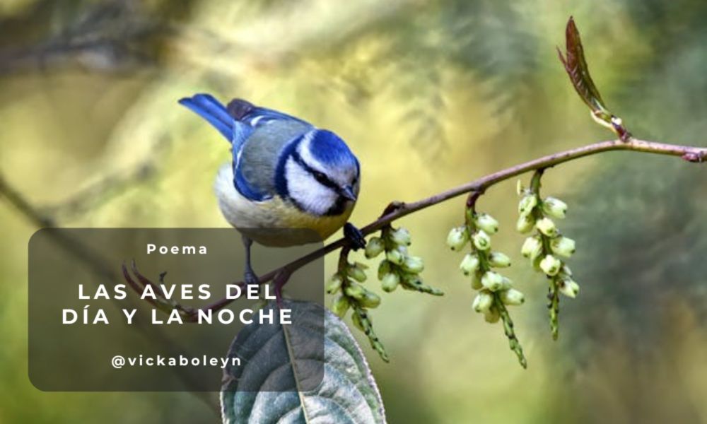 Poema: Las aves del día y la noche | PeakD