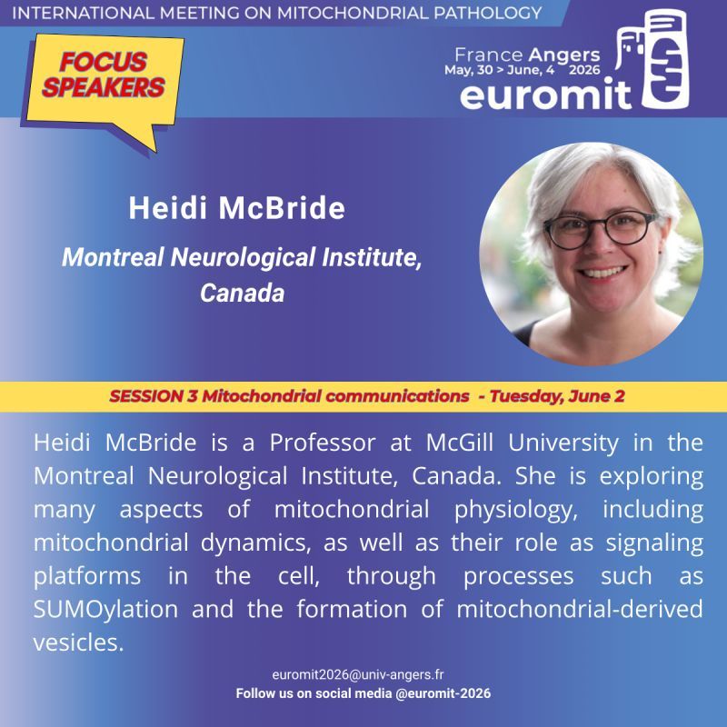 Heidi McBride will speak on June 2nd in Angers France during Euromit 2026 congress.  The session 3 is focused on Mitochondrial communications. Heidi McBride is a Professor at McGill University in the Montreal Neurological Institute, Canada. She is exploring many aspects of mitochondrial physiology, including mitochondrial dynamics, as well as their role as signaling platforms in the cell, through processes such as SUMOylation and the formation of mitochondrial-derived vesicles.