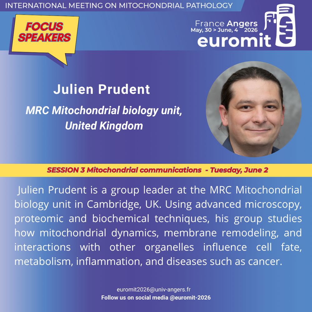 Picture of Julien Prudent featuring his photo and a short biography. Julien Prudent will be speaking at Euromit congress in 2026 in Angers, France on Tuesday, June 2nd  during the session entitled Mitochondrial communications. Julien Prudent is a group leader at the MRC Mitochondrial biology unit in Cambridge, UK. Using advanced microscopy, proteomic and biochemical techniques, his group studies how mitochondrial dynamics, membrane remodeling, and interactions with other organelles influence cell fate, metabolism, inflammation, and diseases such as cancer. 