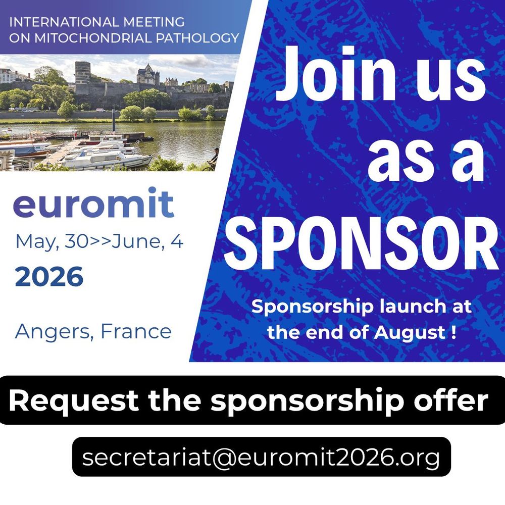 Image of Call for sponsorship concerning Euromit 2026. Request the sponsorship offer by e-mail at : secretariat@euromit2026.org