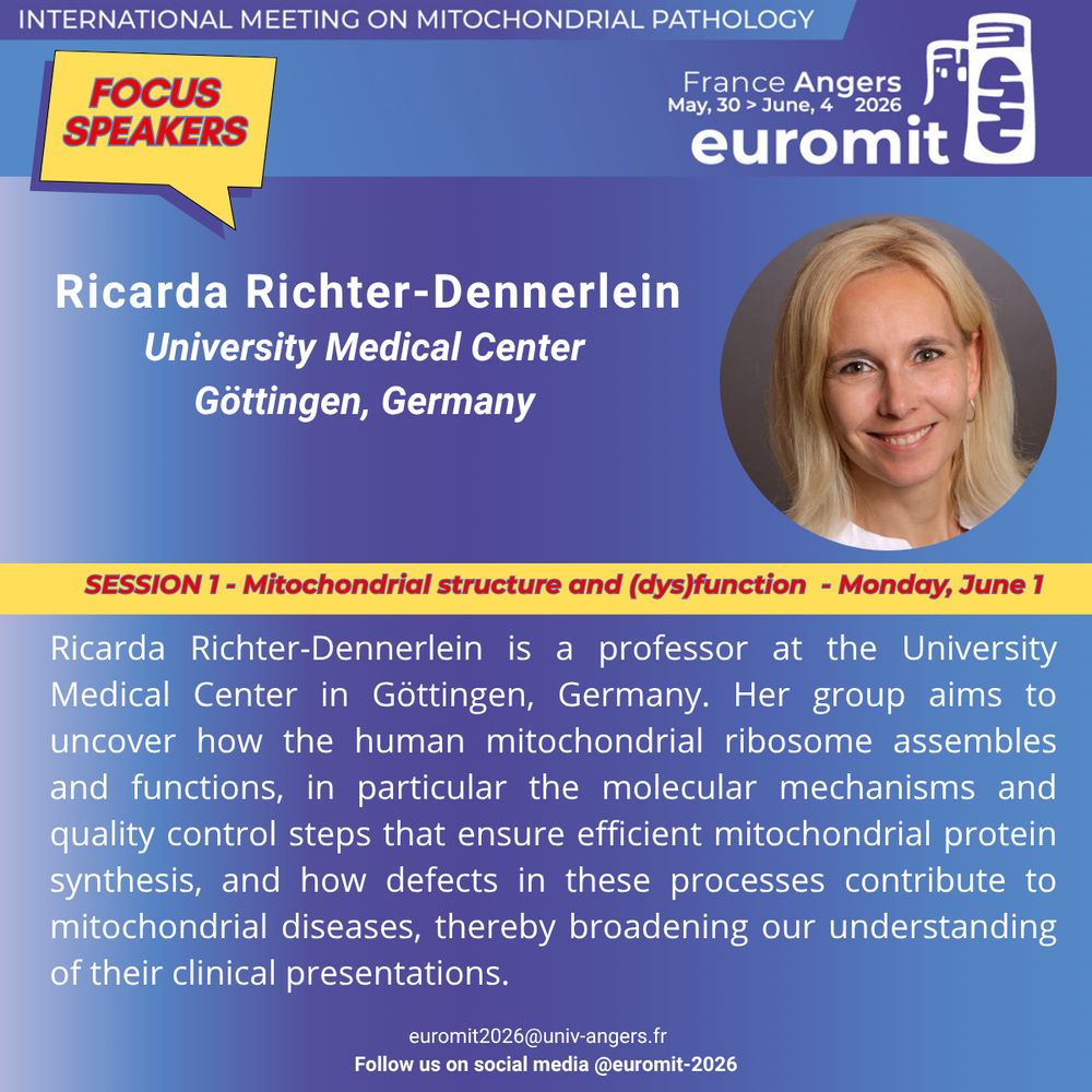 Picture of Ricarda Richter-Dennerlein featuring her photo and a short biography. Ricarda Richter-Dennerlein  will be speaking at Euromit congress in 2026 in Angers, France on Monday, June 1st  during the session entitled Mitochondrial structure and (dys)function. Ricarda Richter-Dennerlein is a professor at the University Medical Center in Göttingen, Germany. Her group aims to uncover how the human mitochondrial ribosome assembles and functions, in particular the molecular mechanisms and quality control steps that ensure efficient mitochondrial protein synthesis, and how defects in these processes contribute to mitochondrial diseases, thereby broadening our understanding of their clinical presentations.