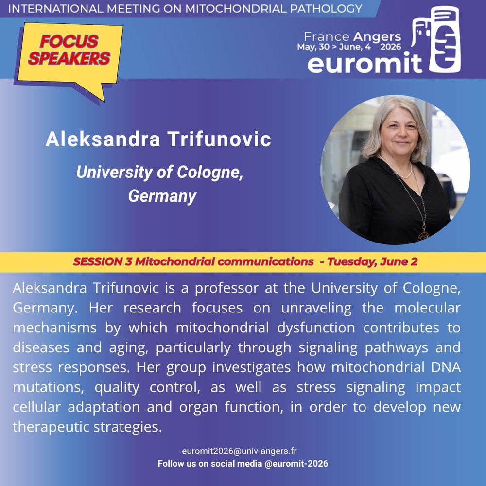 Picture of Aleksandra Trifunovic featuring her photo and a short biography. Aleksandra Trifunovic will be speaking at Euromit congress in 2026 in Angers, France on Tuesday, June 2nd  during the session entitled Mitochondrial communications. Aleksandra Trifunovic is a professor at the University of Cologne, Germany. Her research focuses on unraveling the molecular mechanisms by which mitochondrial dysfunction contributes to diseases and aging, particularly through signaling pathways and stress responses. Her group investigates how mitochondrial DNA mutations, quality control, as well as stress signaling impact cellular adaptation and organ function, in order to develop new therapeutic strategies.