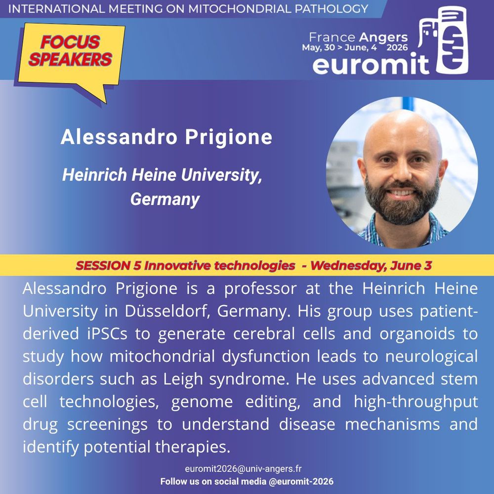 Picture of Alessandro Prigione featuring his photo and a short biography. Alessandro Prigione will be speaking at Euromit congress in 2026 in Angers, France on Wednesday, June 3rd  during the session entitled  Innovative technologies. Alessandro Prigione is a professor at the Heinrich Heine University in Düsseldorf, Germany. His group uses patient-derived iPSCs to generate cerebral cells and organoids to study how mitochondrial dysfunction leads to neurological disorders such as Leigh syndrome. He uses advanced stem cell technologies, genome editing, and high-throughput drug screenings to understand disease mechanisms and identify potential therapies.
