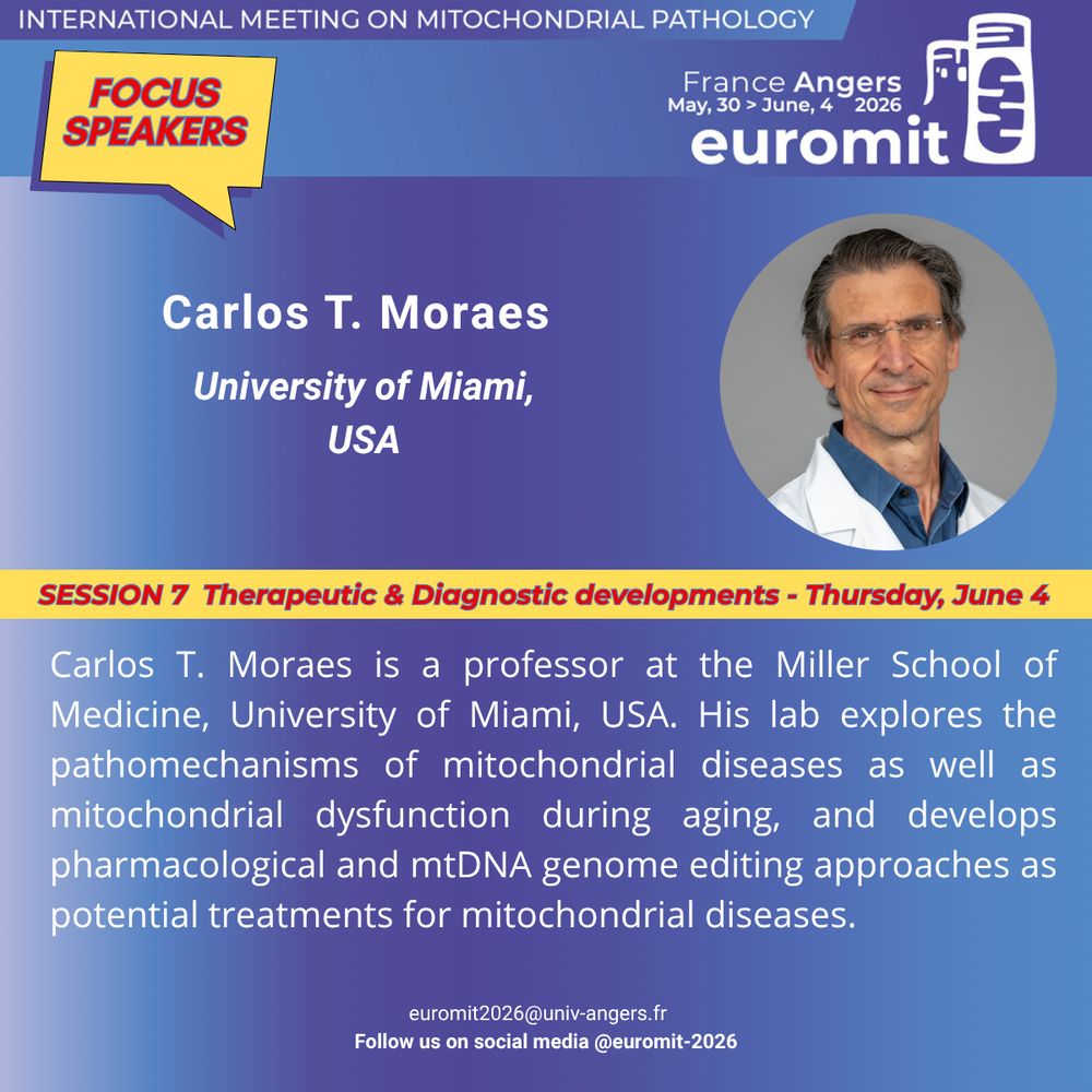 Picture of Carlos T. Moraes featuring his photo and a short biography. Carlos T. Moraes will be speaking at Euromit congress in 2026 in Angers, France on Thursday, June 4th  during the session entitled Therapeutic and Diagnostic developments. Carlos T. Moraes  is a professor at the Miller School of Medicine, University of Miami, USA. His lab explores the pathomechanisms of mitochondrial diseases as well as mitochondrial dysfunction during aging, and develops pharmacological and mtDNA genome editing approaches as potential treatments for mitochondrial diseases.