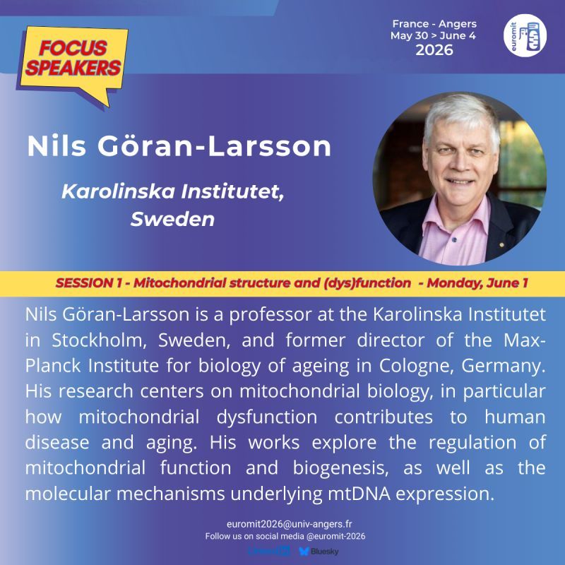 Nils Göran Larsson will take the stage at Euromit congress in Angers on Monday June 1, 2026 during the first session about Mitochondrial structure and function, dysfunction. Nils Göran-Larsson is a professor at the Karolinska Institutet in Stockholm, Sweden, and former director of the Max-Planck Institute for biology of ageing in Cologne, Germany. His research centers on mitochondrial biology, in particular how mitochondrial dysfunction contributes to human disease and aging. His works explore the regulation of mitochondrial function and biogenesis, as well as the molecular mechanisms underlying mtDNA expression.