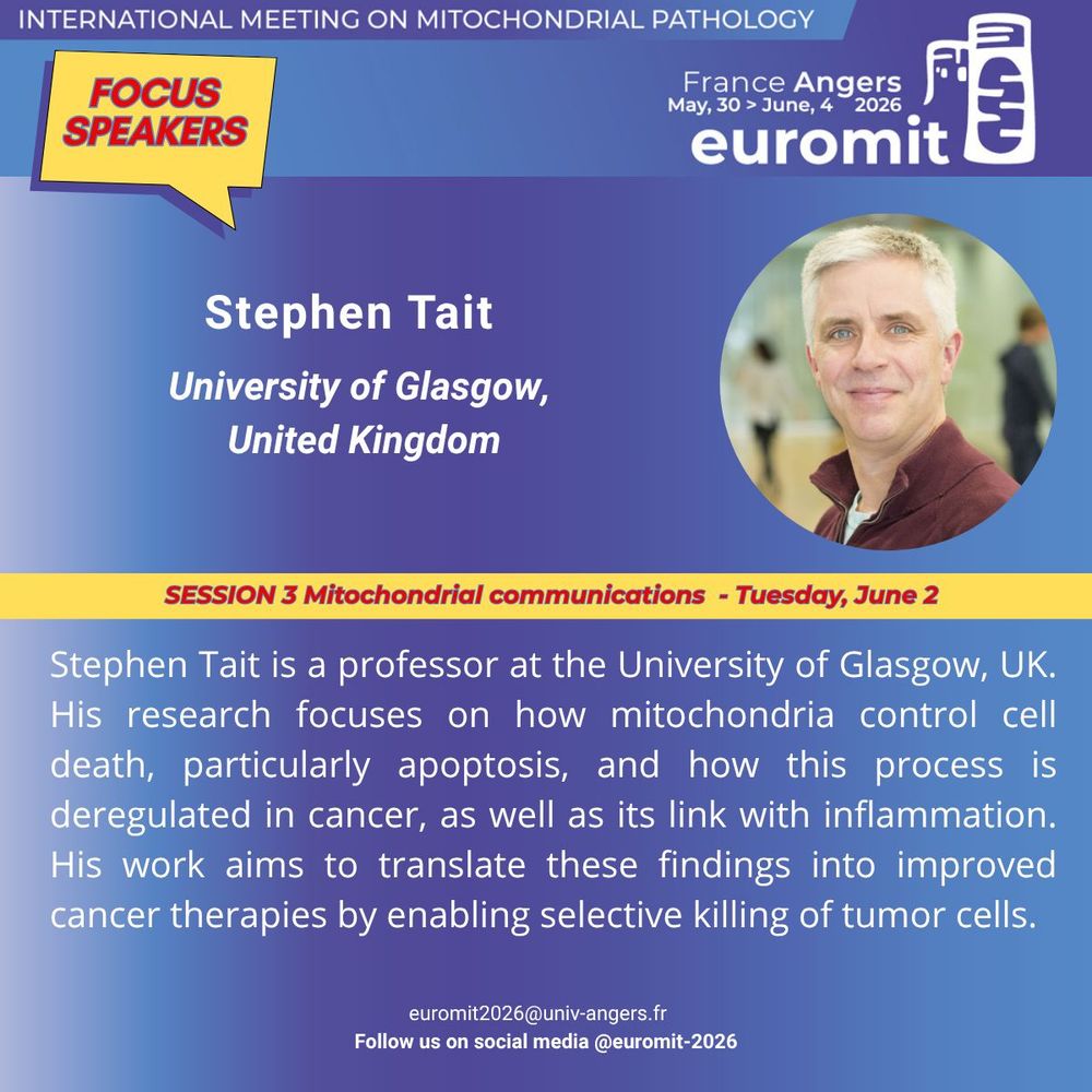 Picture of Stephen Tait featuring his photo and a short biography. Stephen Tait will be speaking at Euromit congress in 2026 in Angers, France on Tuesday, June 2nd  during the session entitled Mitochondrial communications. Stephen Tait is a professor at the University of Glasgow, UK. His research focuses on how mitochondria control cell death, particularly apoptosis, and how this process is deregulated in cancer, as well as its link with inflammation. His work aims to translate these findings into improved cancer therapies by enabling selective killing of tumor cells.