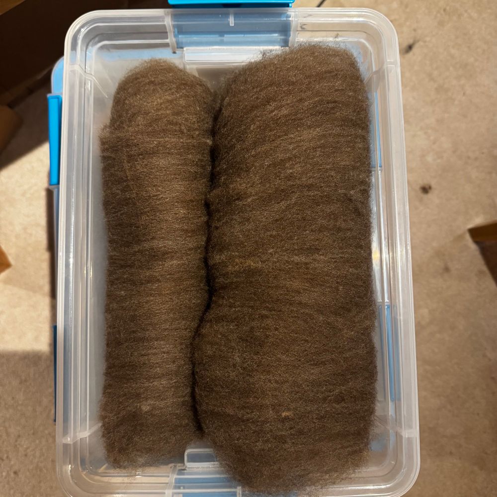 Two carded batts of grey/brown CVM wool