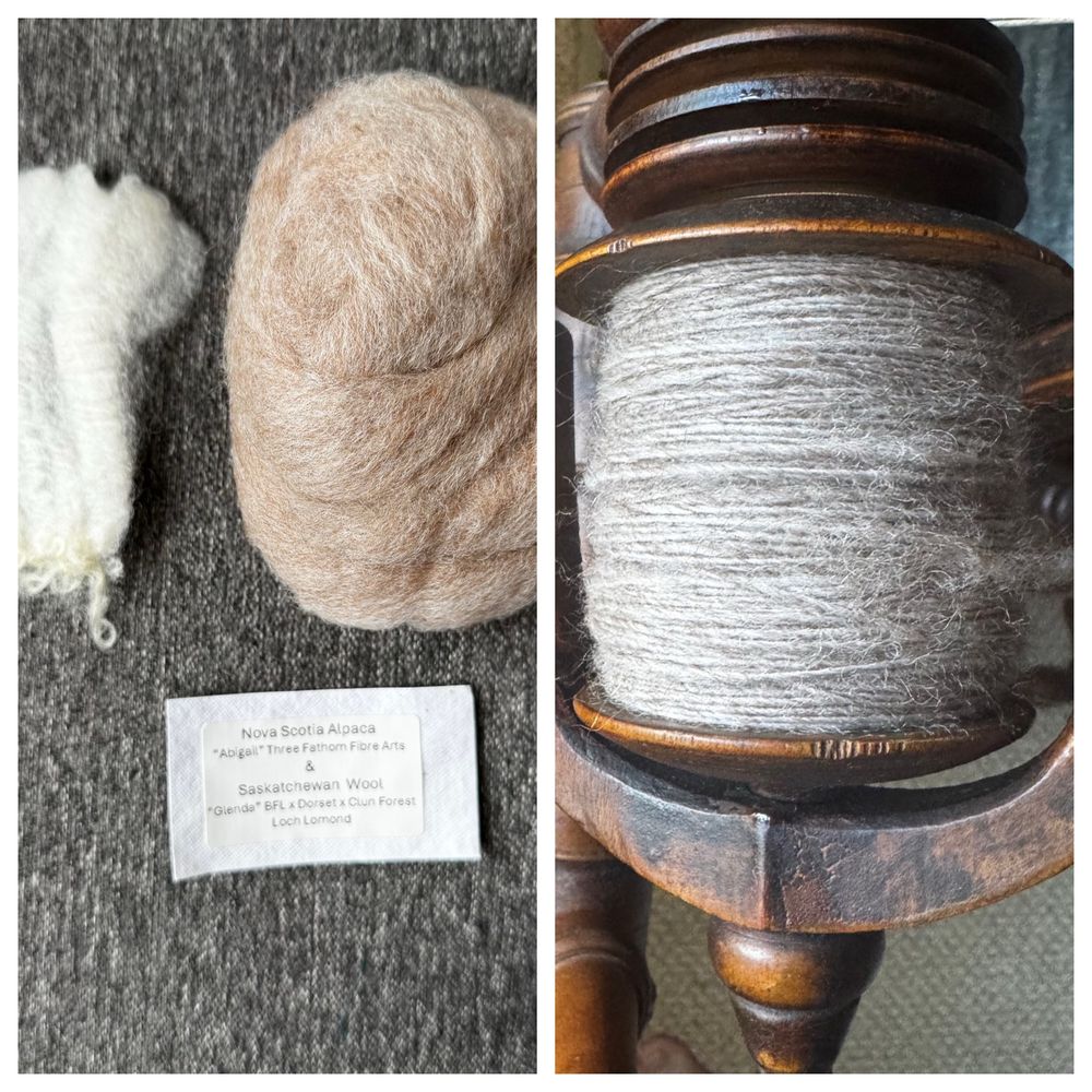 A split image divided in half vertically. Before and after spinning day 2 of the 2024 Mellyknits True North adventure.

On the left is a strip of carded fiber, rolled into a nest. It’s a blend of white wool (BFL/Dorset/Clun Forest cross) and alpaca. There’s also a lock of the white wool. The alpaca must have had some red to it (I need to rewatch her videos explaining it).

On the right is the spun single. It has been spun on an antique spinning wheel. It looks more grey spun up than in the fiber.