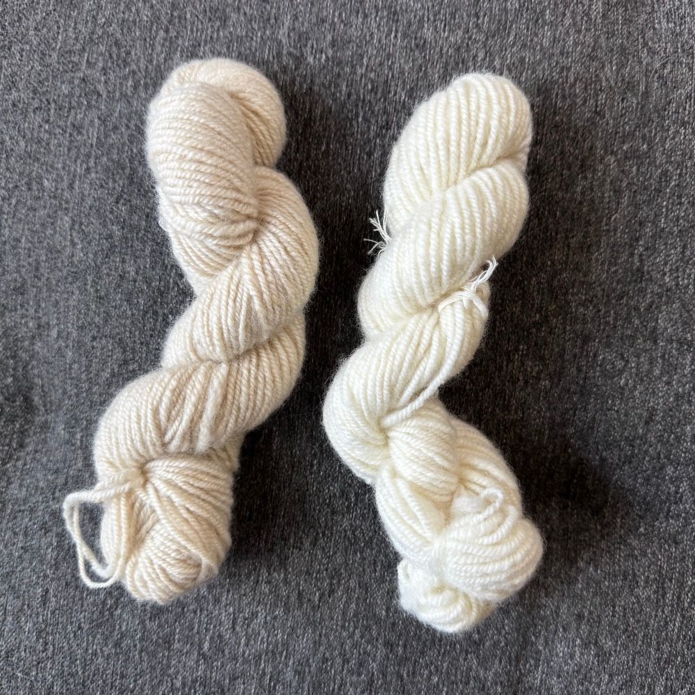 Two skeins of 3-ply yarn. The skein on the right is 100% Corriedale and is a brilliant white. The skein on the left was blended with 10% muga silk and just looks kinda dingy.