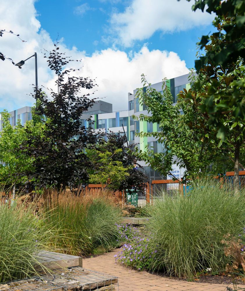 Gell Street pocket park with Jessop West building in the background, there a brick path with shrubbery surround it