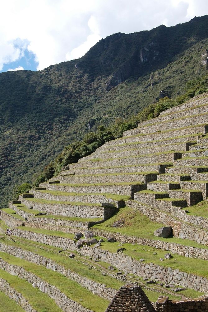 Peru
Machu Picchu 
Les terrasses agricoles 