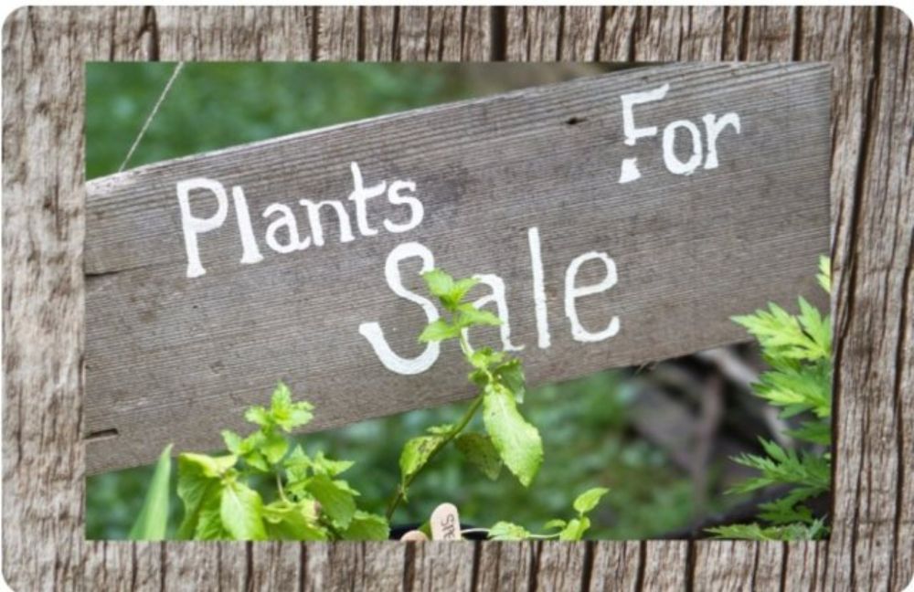 Upcoming St. Louis Area Plant Sales