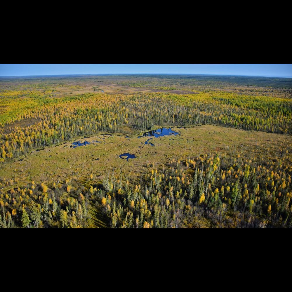 Deep in the Wilderness, the World’s Largest Beaver Dam Endures