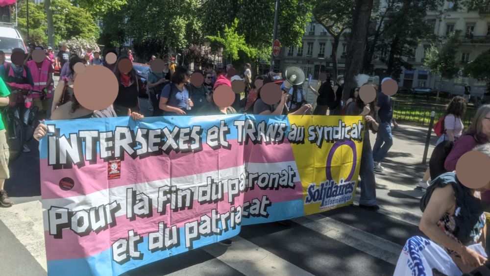 Cortège Solidaire Informatique
Banderole 
"Intersexes et Trans au syndicat
Pour la fin du patronat et du patriarcat !"