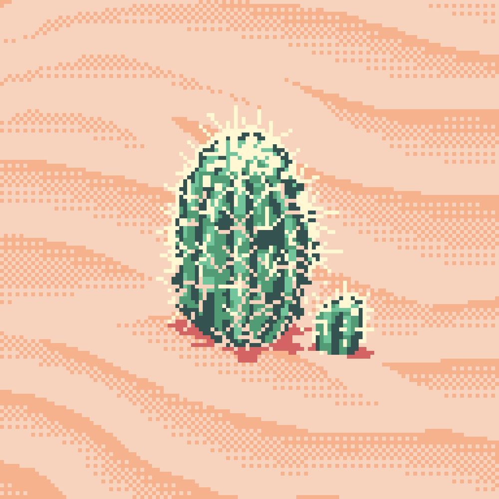3/4 view of two cacti; one is larger and one is smaller. They are growing on a sand dune.