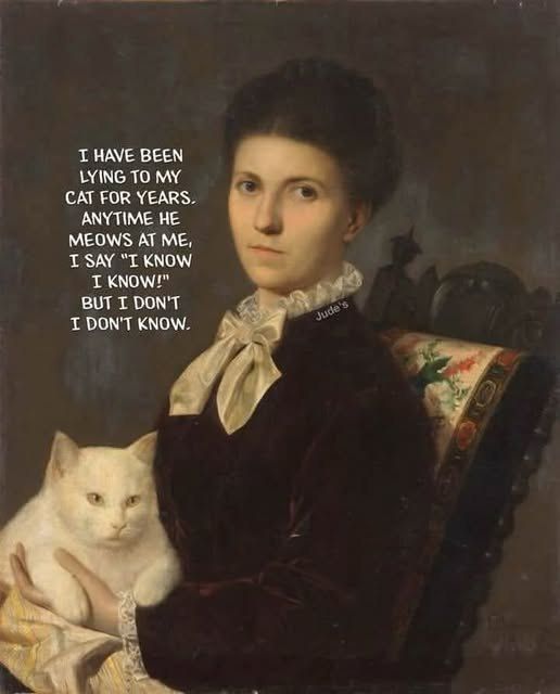 Victorian style painting of a lady and her white cat.   Text says "I have been lying to my cat for years.   Anytime he meows at me, I say I know I know!  But I don't know"
