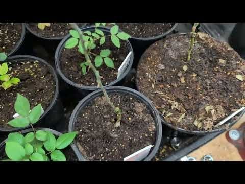 Start of a new year and what is new