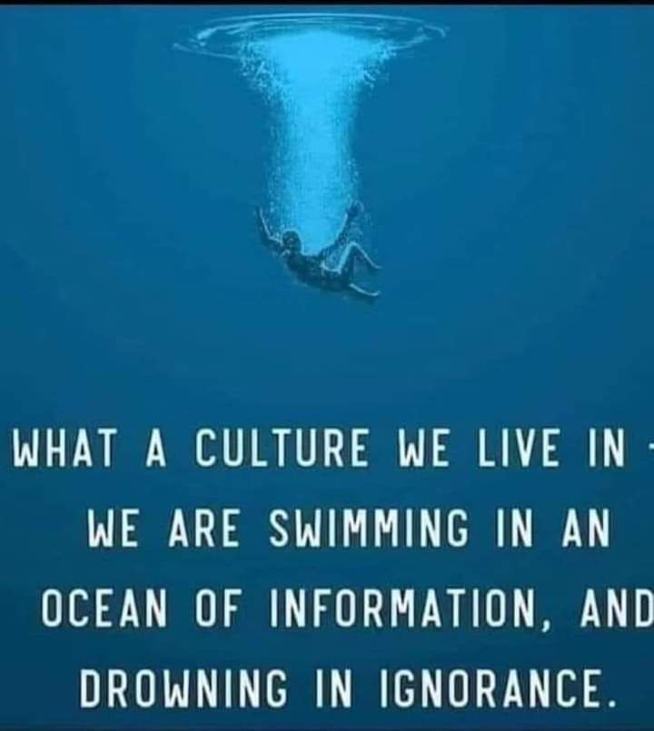 "I don't believe that all people are dumb. I believe that some folks are unaware or willfully or unwillingly ignorant and that's just plain stupid." ~ Bruce Maiman
https://www.huffpost.com/.../ignorance-america-politics...