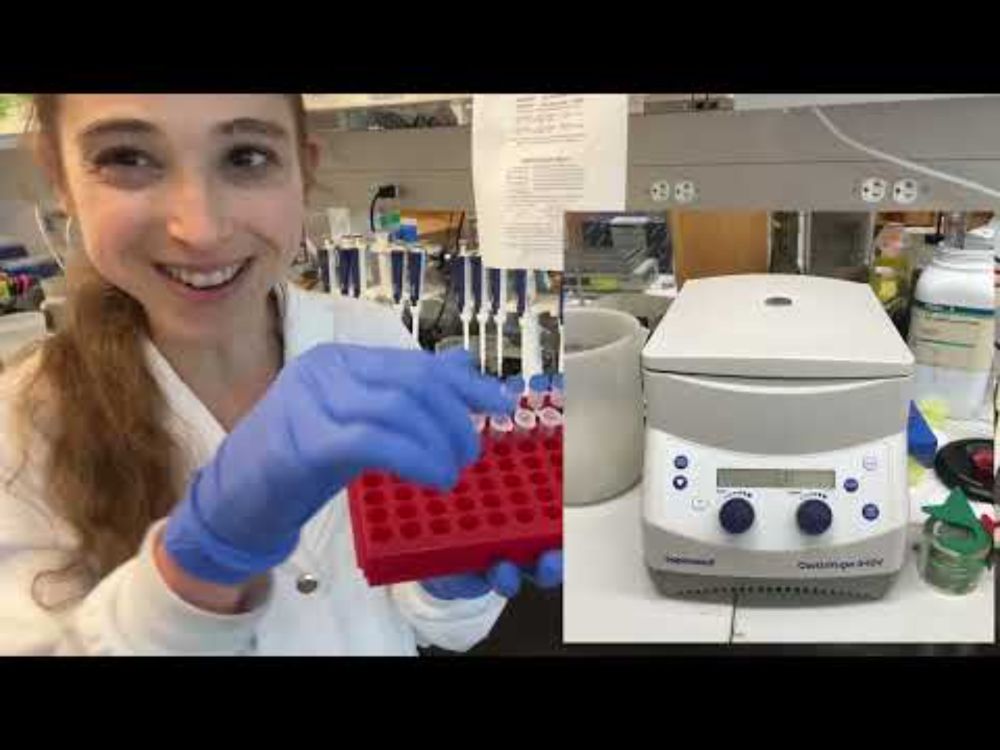 Resuspending, diluting, and storing primers and other "oligos" (DNA or RNA oligonucleotides): Tips