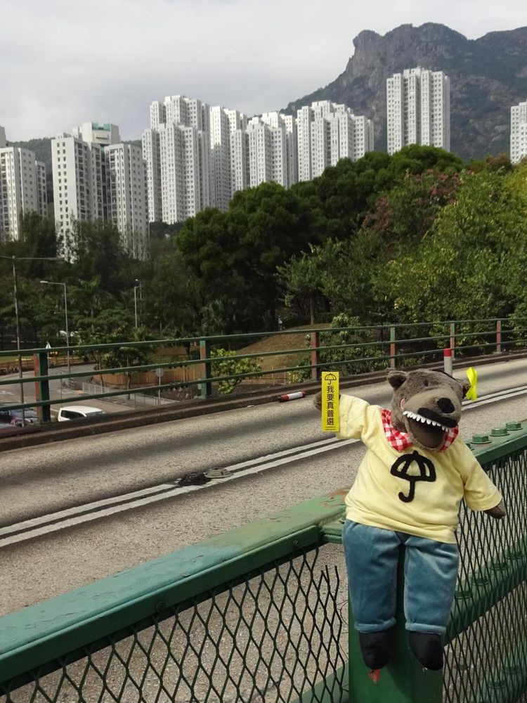 Umbrella Movement Lufsig in front of Lion Rock.