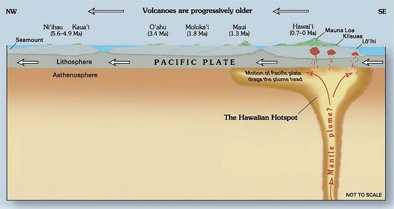 Illustration of what's believe to be powering the colcanoes of Hawai'i - a huge upwelling of hot rock, a "mantle plume", creating the volcanic "hot spot" that is dumping energy into all the volcanoes in the area.