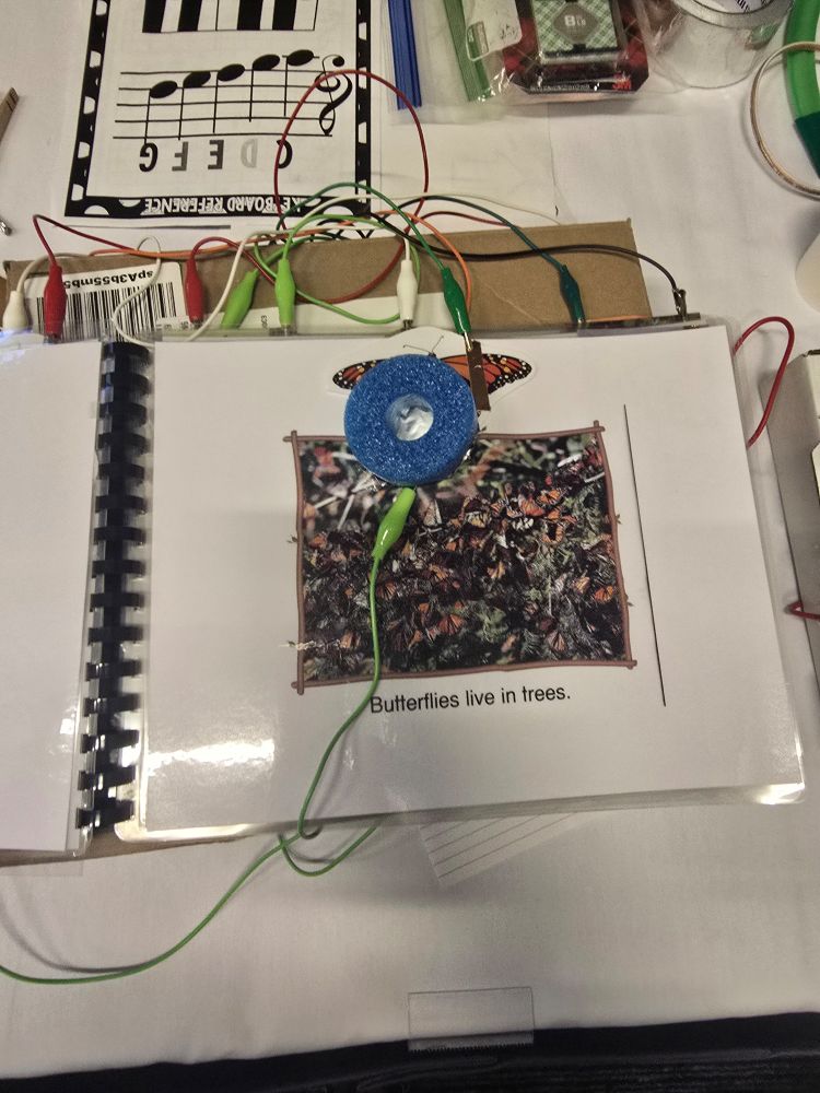 This is an adaptive book made with the Makey Makey. When you place the switch on the picture it reads it out loud to them.