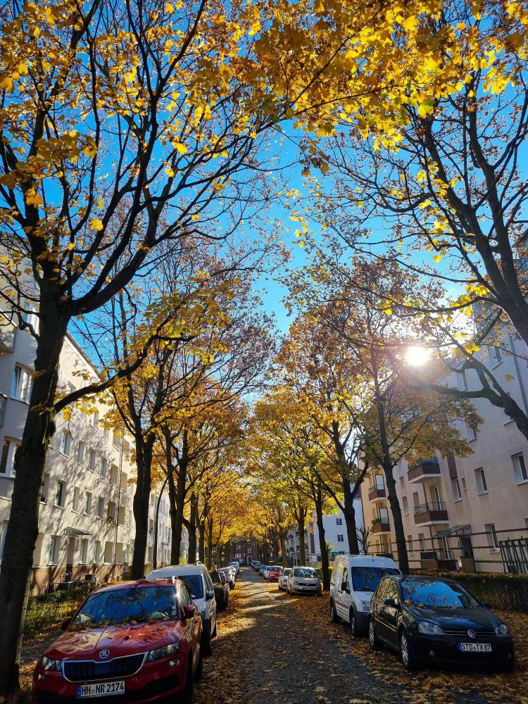 Herbstliche Wohnstraße, blauer Himmel. 