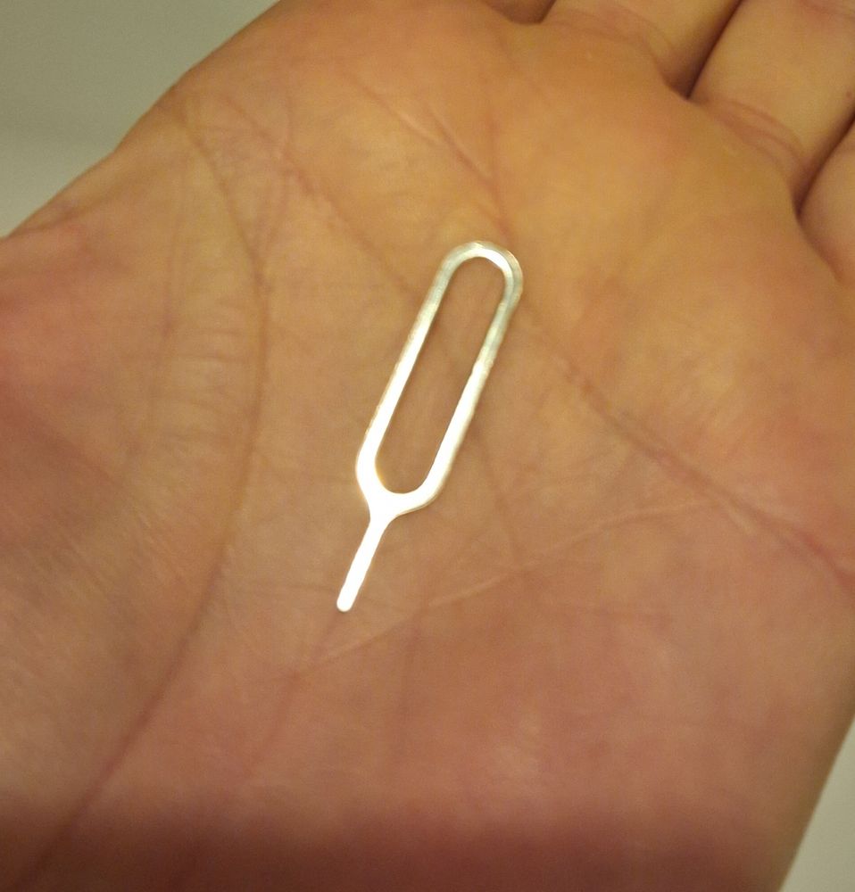 One of those sim ejection metal tools. Wire loop with a pokey bit