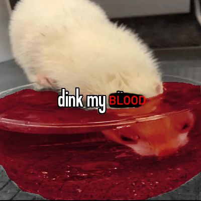 cute photo of a mustelid with its face down in a bowl of water, but with the water recoloured red and with the 
