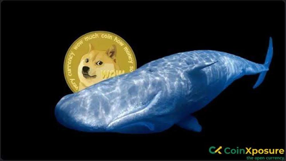 Dogecoin To Hit $1 as Whale Buys 200M DOGE