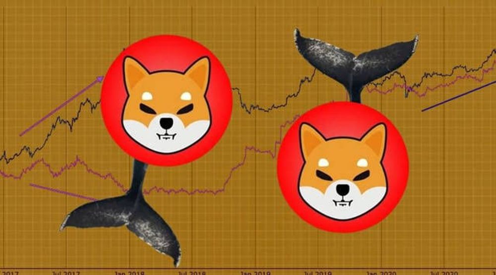 Shiba Inu Drops 5% as Whales Buy Big