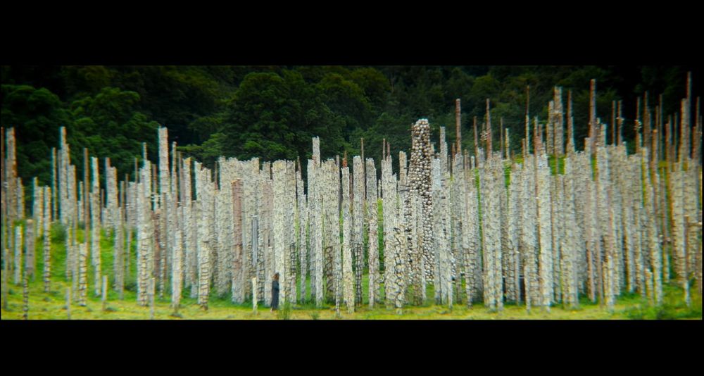 a screenshot from Danny Boyle's 28 Years Later. the totem poles of skulls looking like a forest 